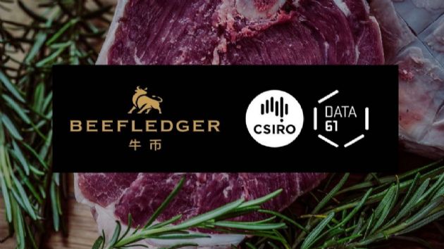 BeefLedger.io Chairman Warwick Powell Explains how the Blockchain Solves Supply Chain Problems