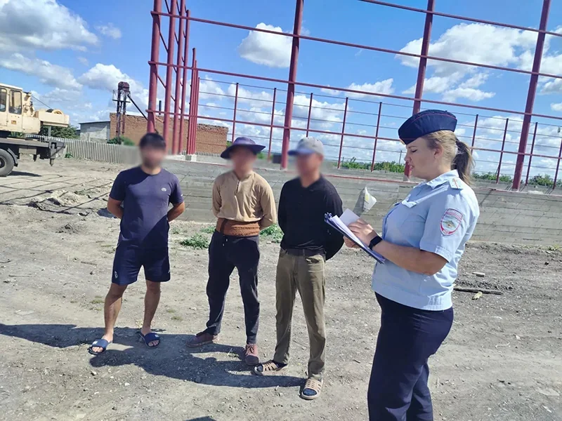 Alekseyevka shahrida noqonuniy mehnat faoliyati bilan shug‘ullanganlar aniqlandi