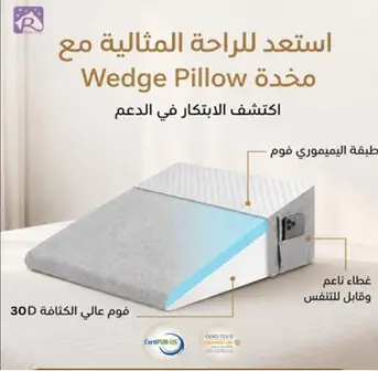 RAHA WEDGE PILLOW 60X60X20