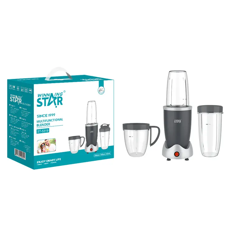 WINNING STAR SMALL BLENDER 3 IN 1 900W 700ML ST-5319