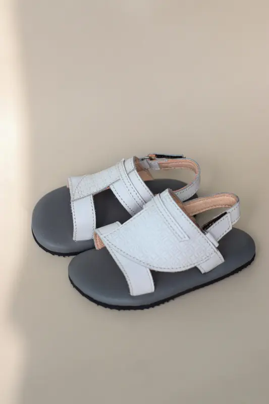 Slide 7