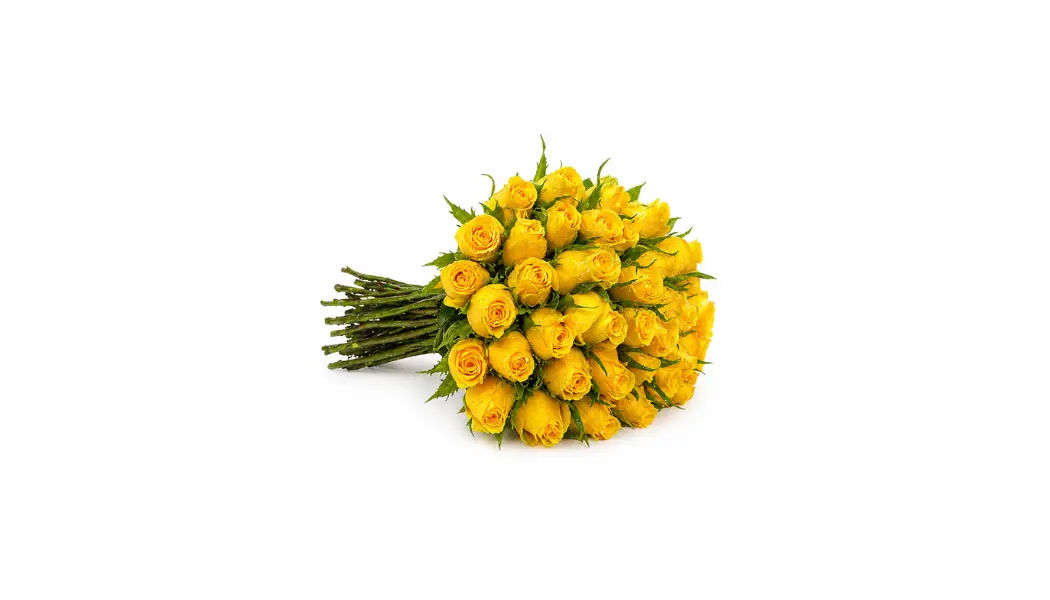 25 Yellow Roses