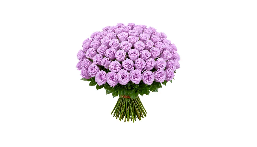 100 Purple Rose Bouquet