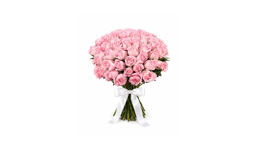 25 Light Pink Rose Bouquet