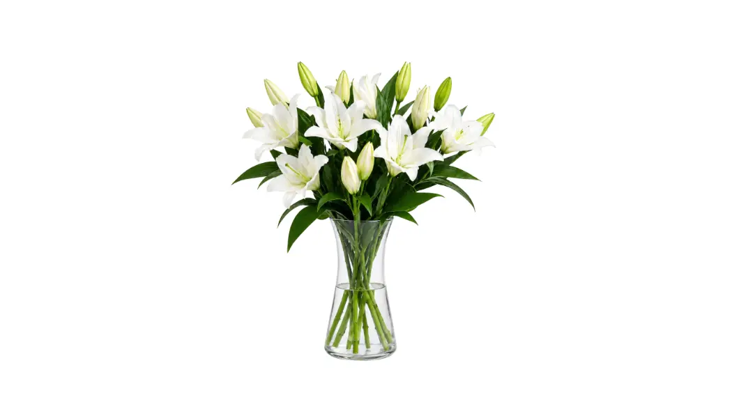 White Lily Vase Arrangement