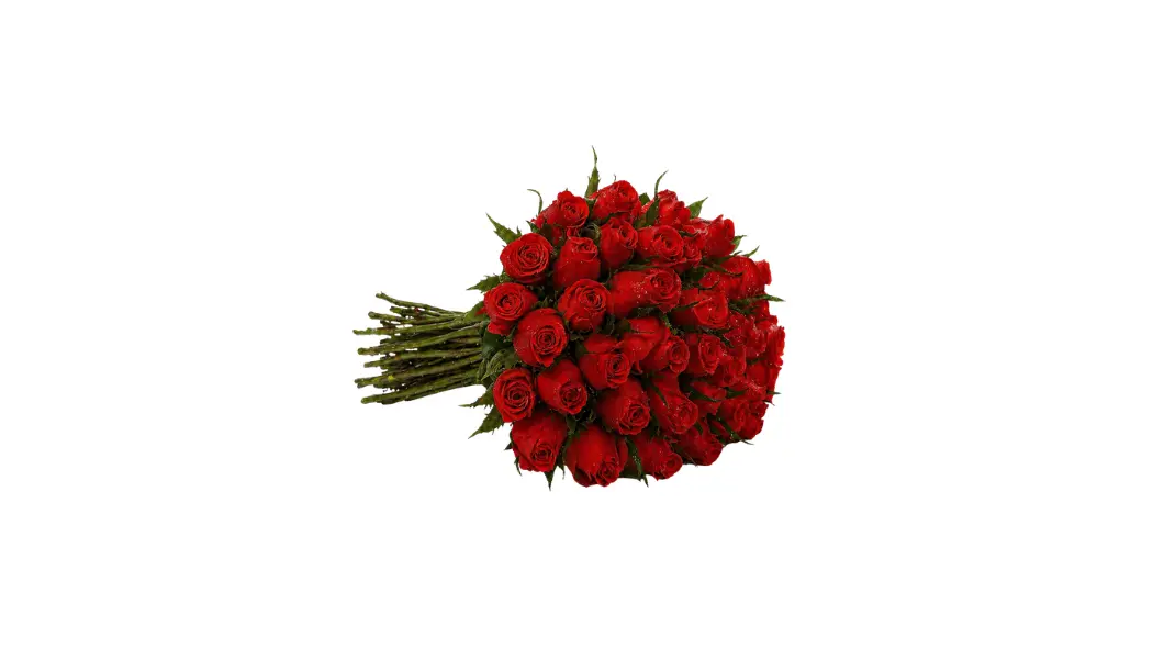 25 Red Roses