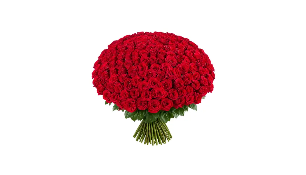200 Red Rose Bouquet