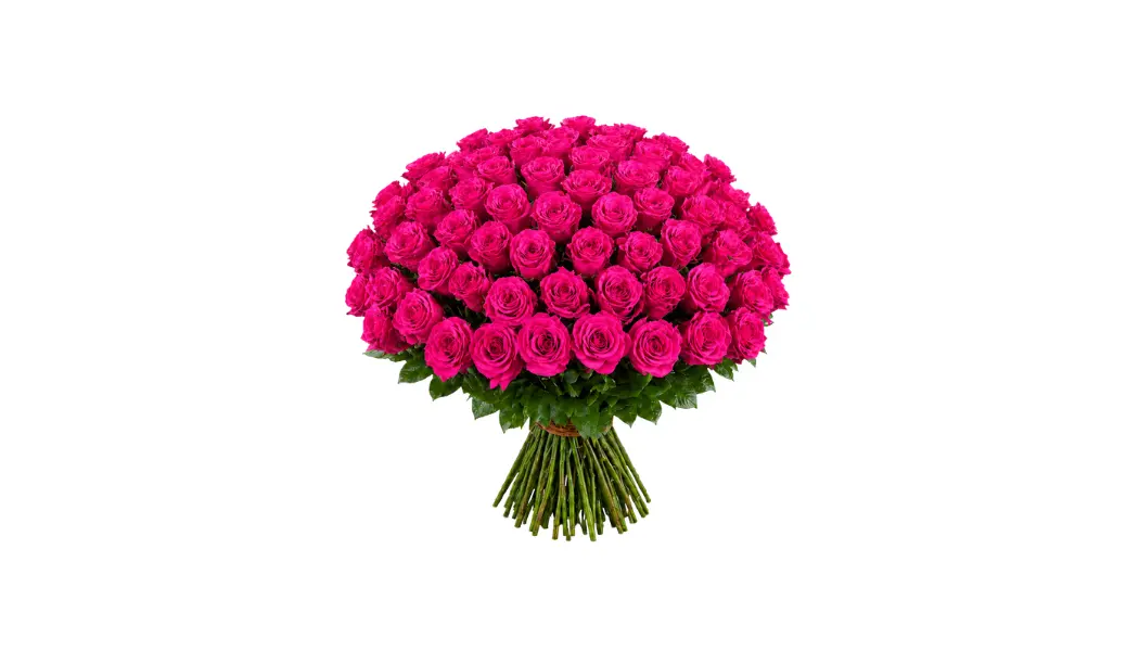 100 Fuchsia Rose Bouquet