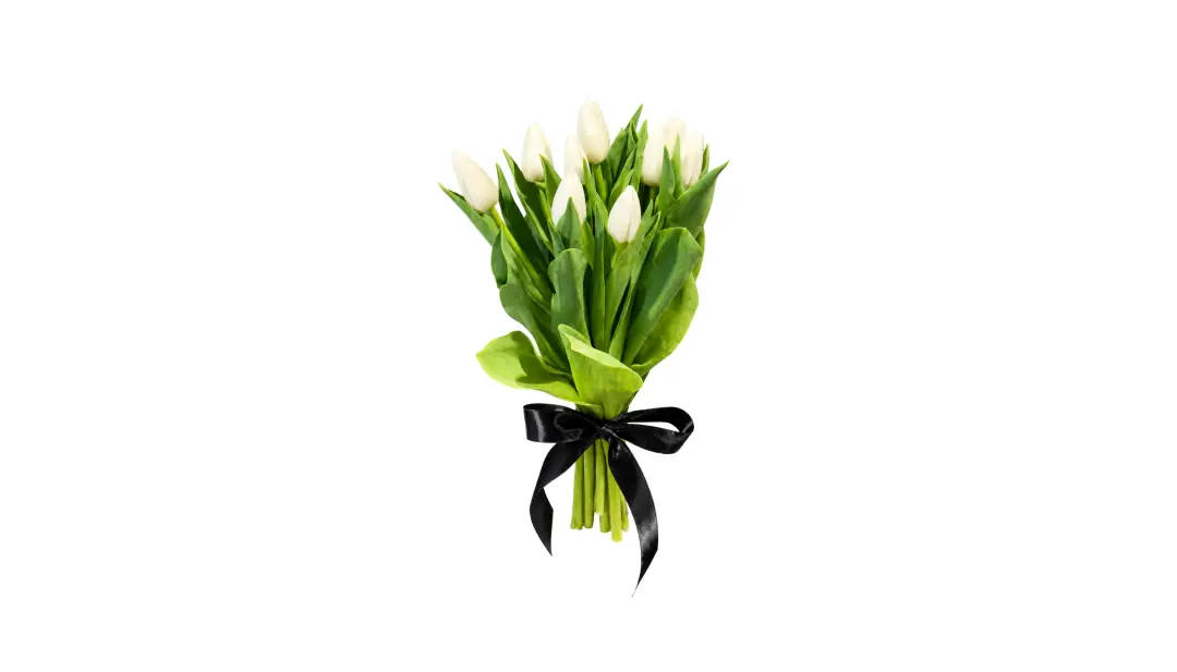 Tulip Bouquet