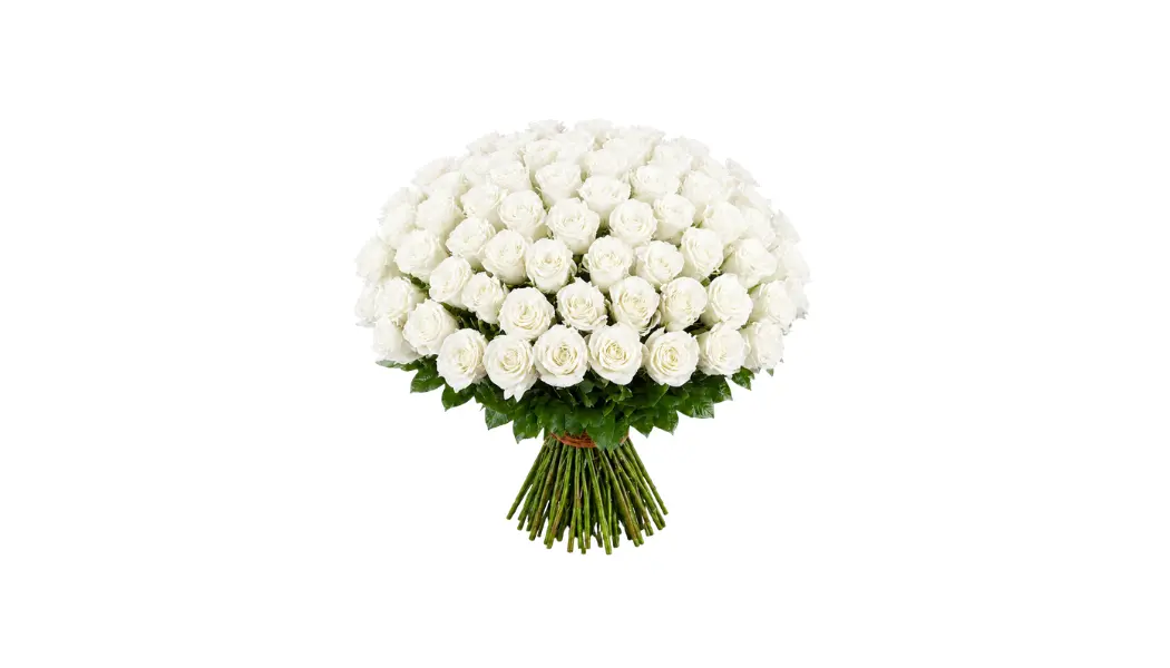 100 White Rose Bouquet