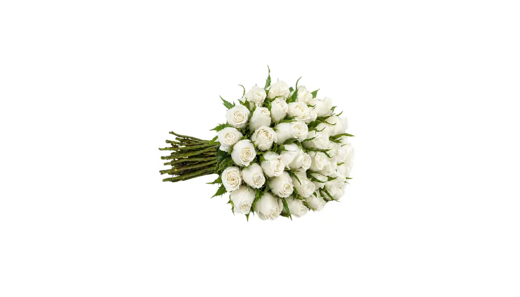 25 White Roses