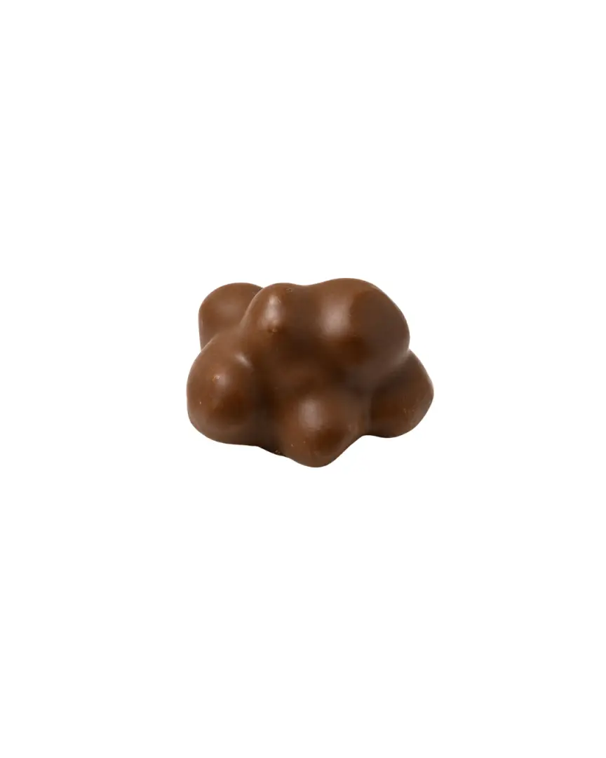 Chocolate Roche Hazelnut