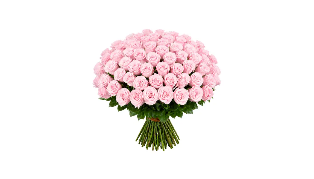 100 Light Pink Rose Bouquet