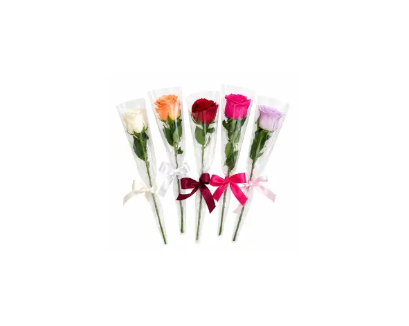 Single Wrapped Rose
