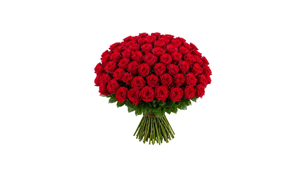 100 Red Rose Bouquet
