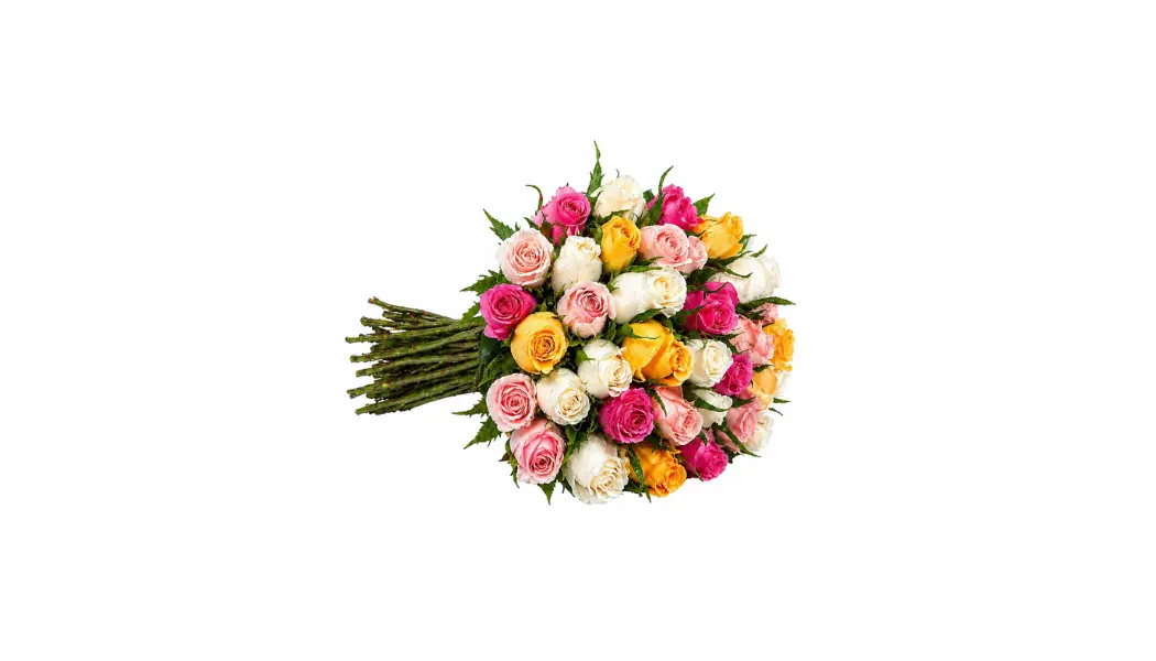 25 Mixed Roses