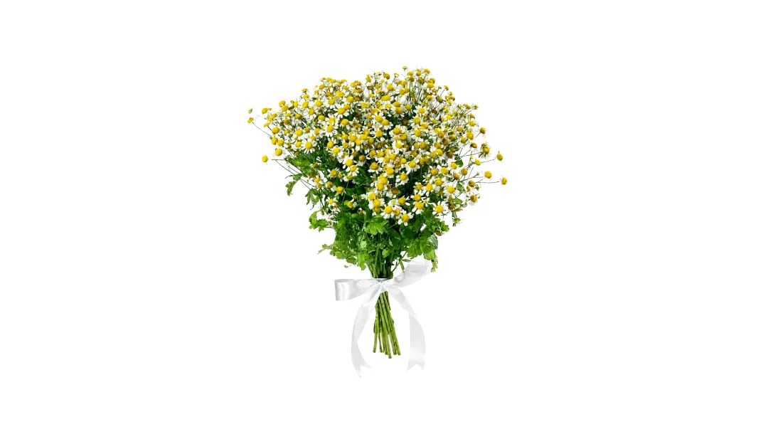 Daisy Bouquet