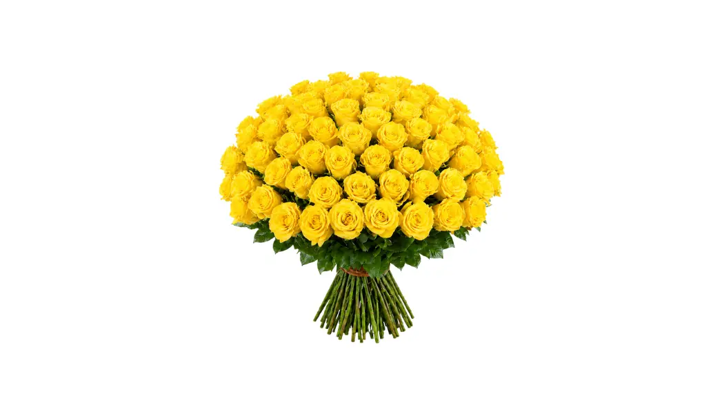 100 Yellow Rose Bouquet