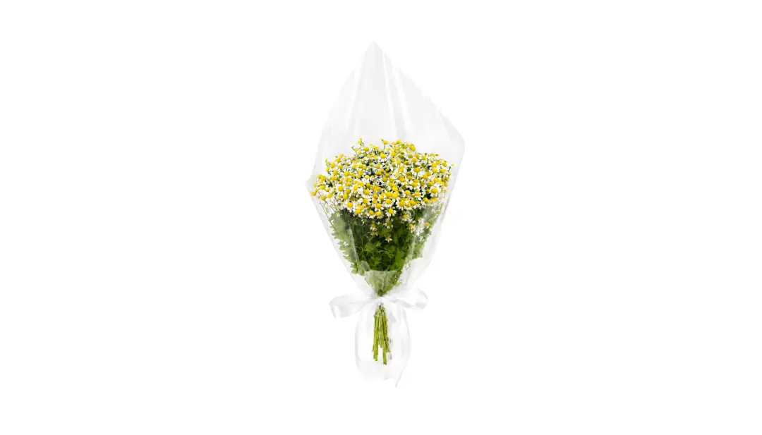 Daisy Bouquet (Clear Wrap)