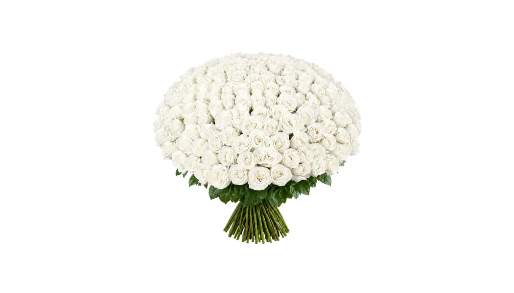 200 White Rose Bouquet