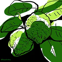 Artwork 88