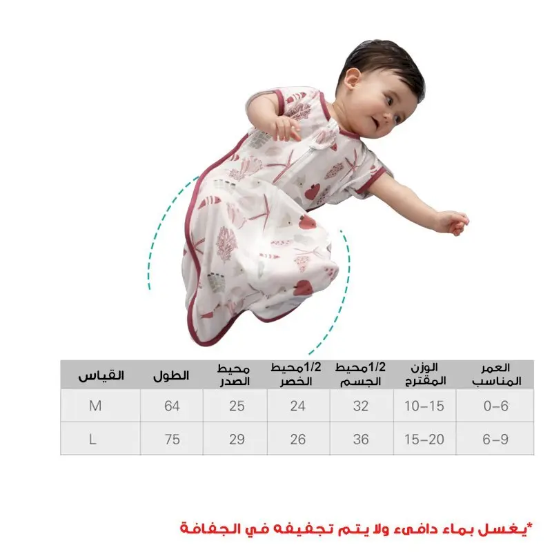 Slide 12