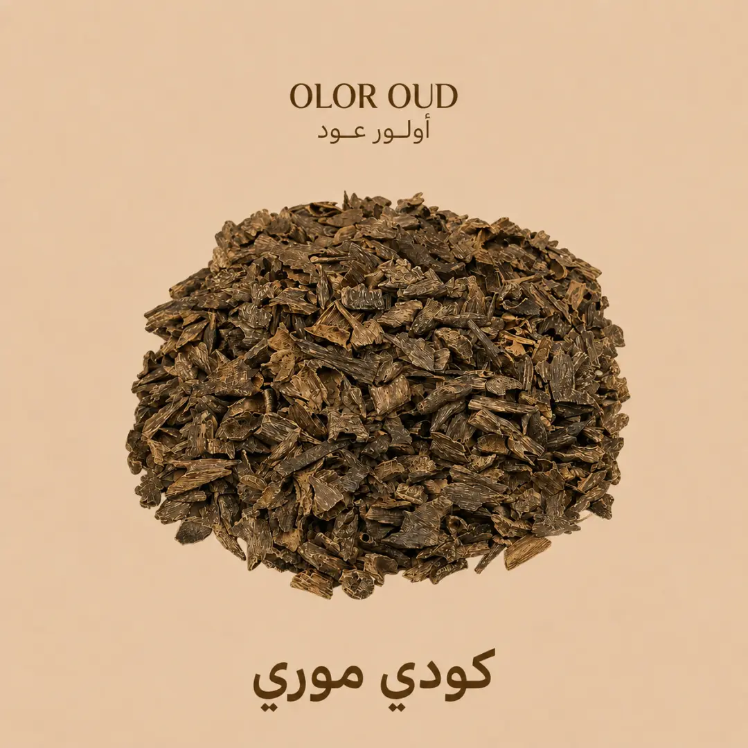 كودي موري نقوة