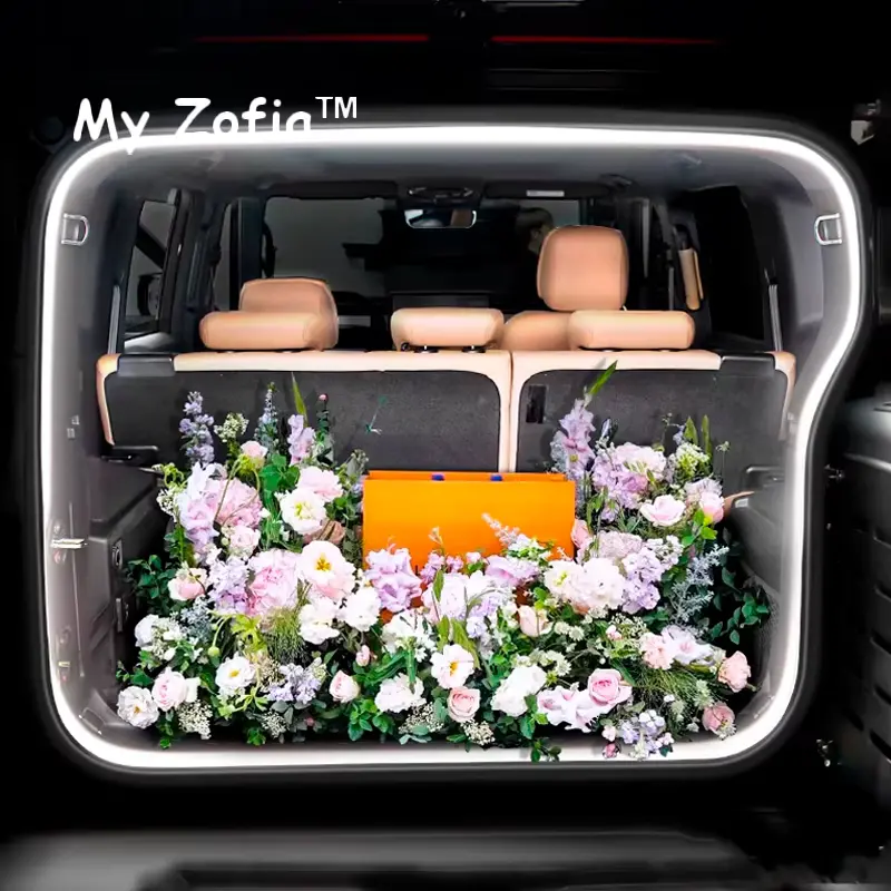 Jetour T2 Back Trunk Light Inside