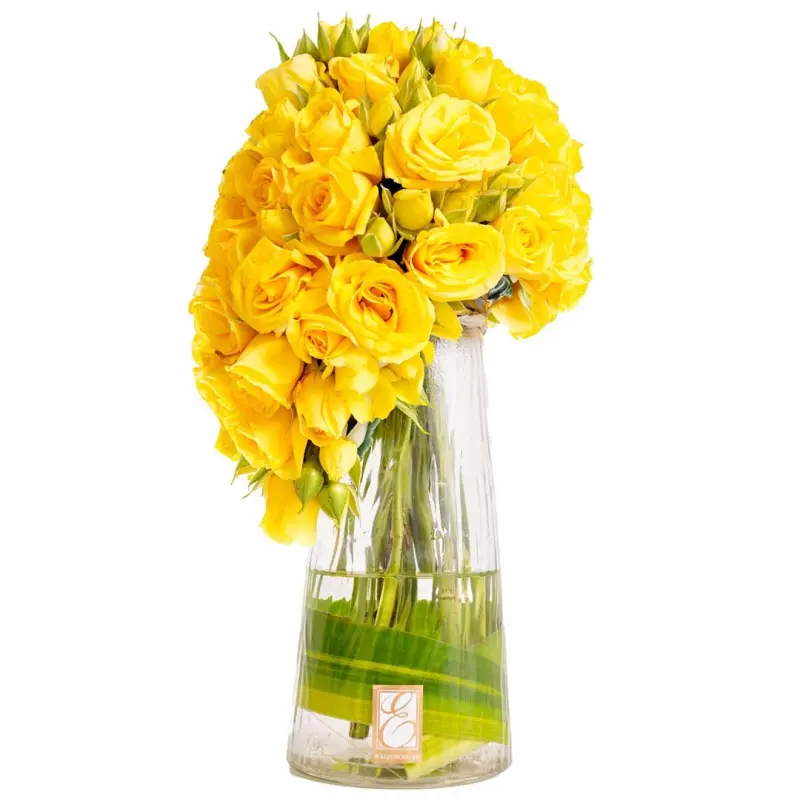 Sunshine Roses