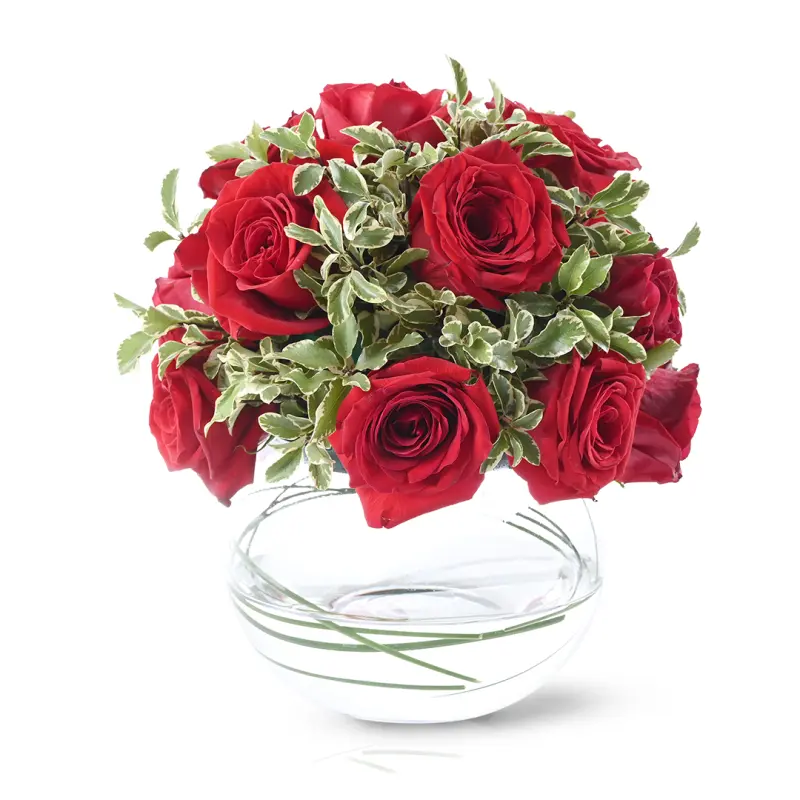 12 Roses Stem