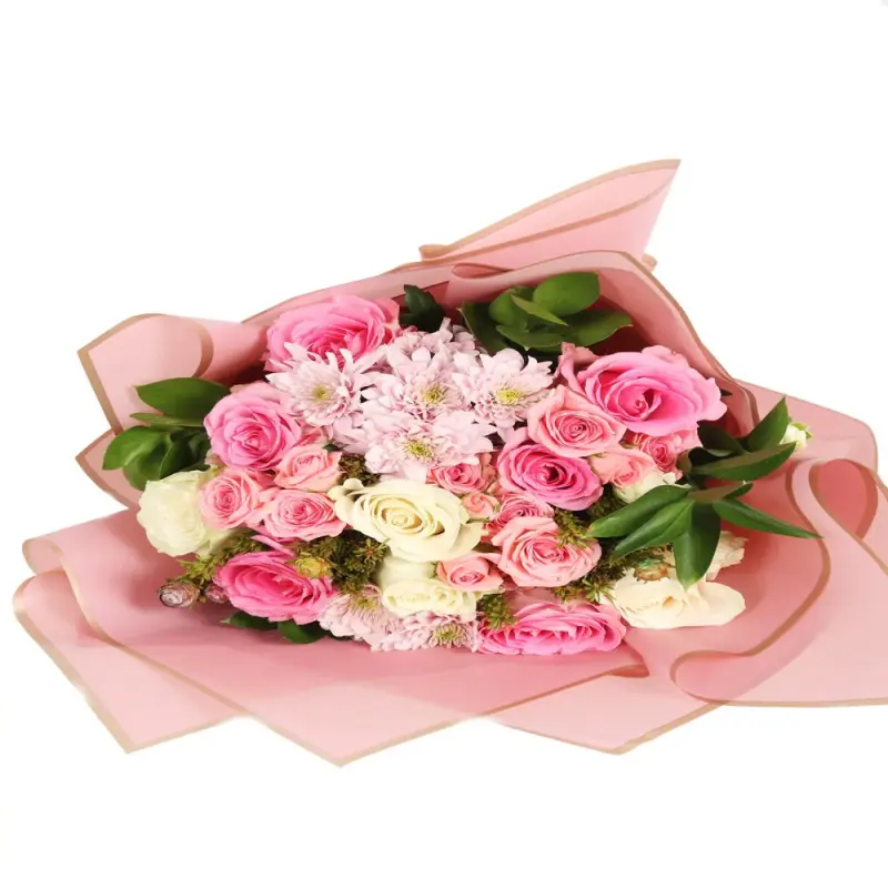 Pure Pink 2