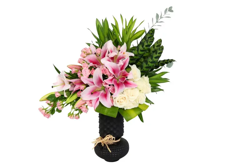 Lily wave
