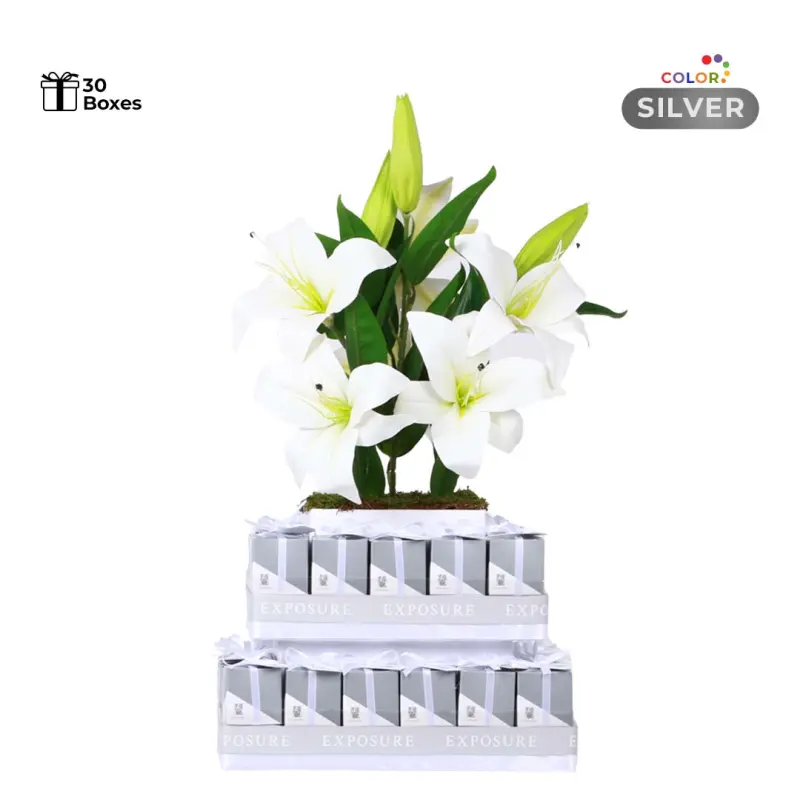 Silver giveaway Stand