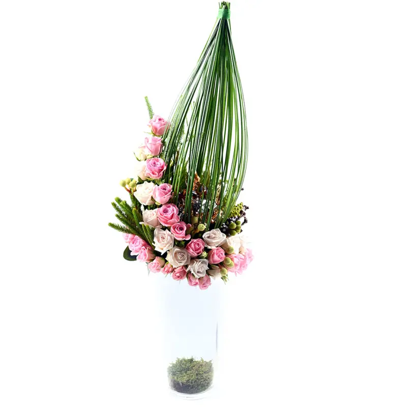 Freesia