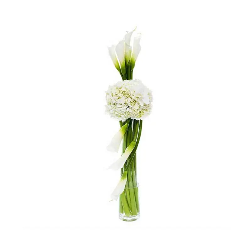 White Calla
