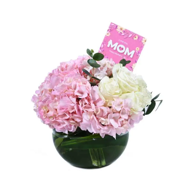 I Love mom 1