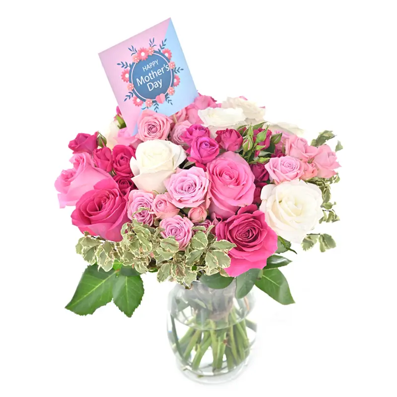 Dear Mother