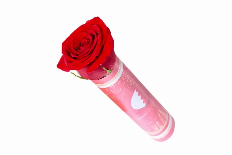 National Day Rose