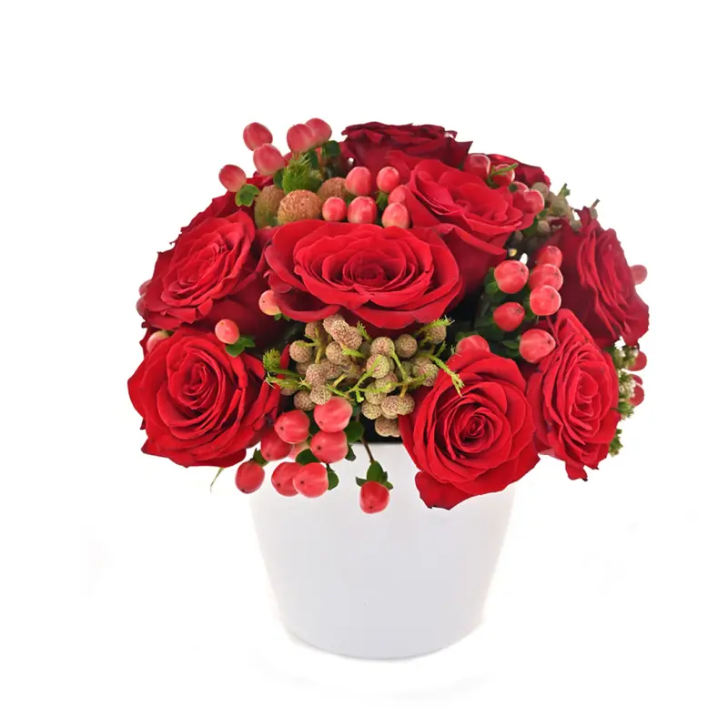 Be My Valentine