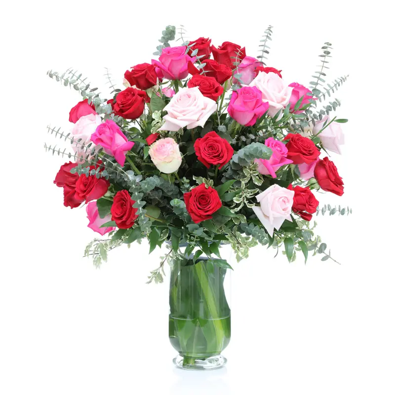 Gorgeous Roses