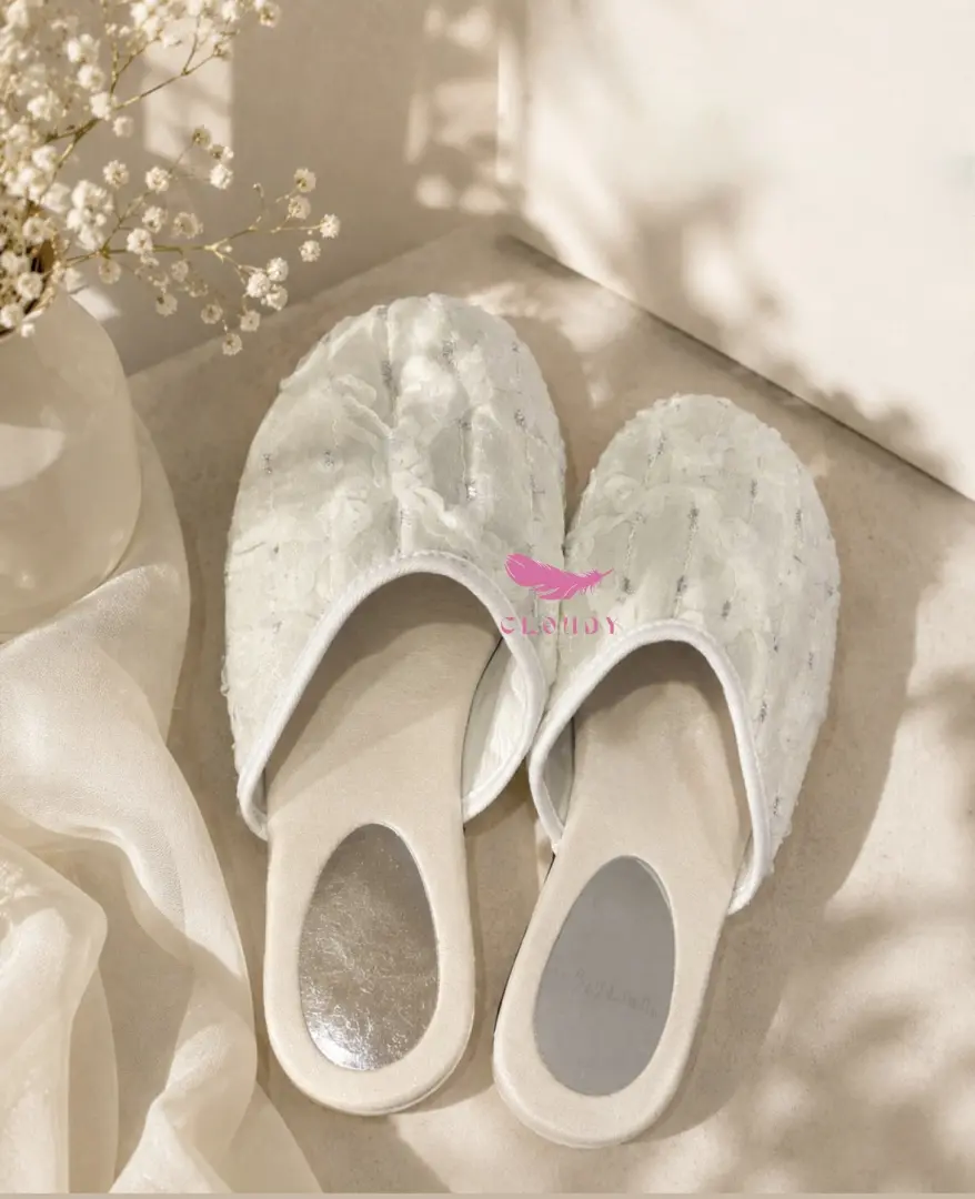 Snow Slipper