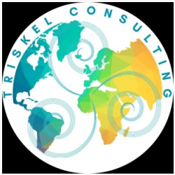 Triskel Consulting
