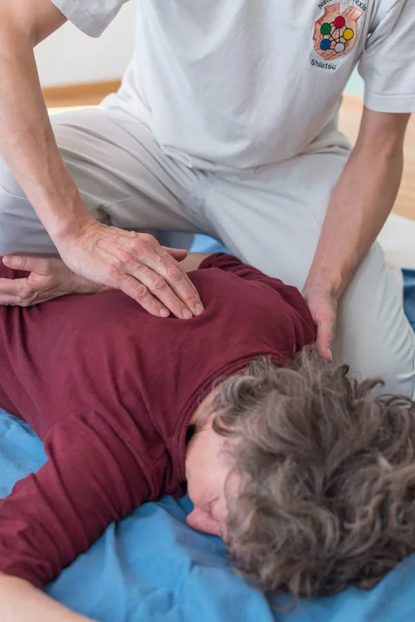 Die Therapiemethoden von Marcel Buchle