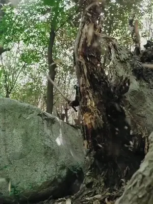 Kembalinya Sang Setengah Dewa