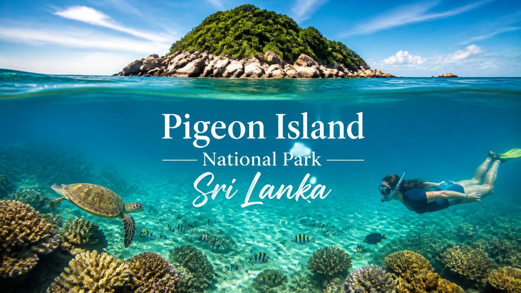 Pigeon Island National Park: Sri Lanka’s Marine Paradise