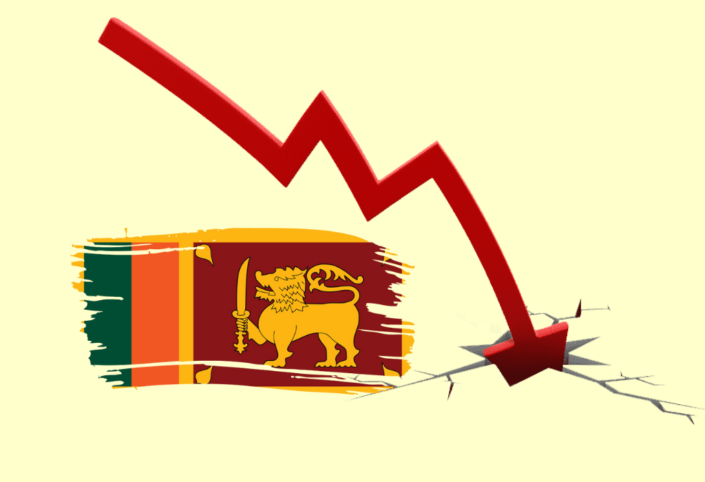 The Sri Lanka Economic Crisis: Causes, Impacts, and Future Outlook - Gallery 1