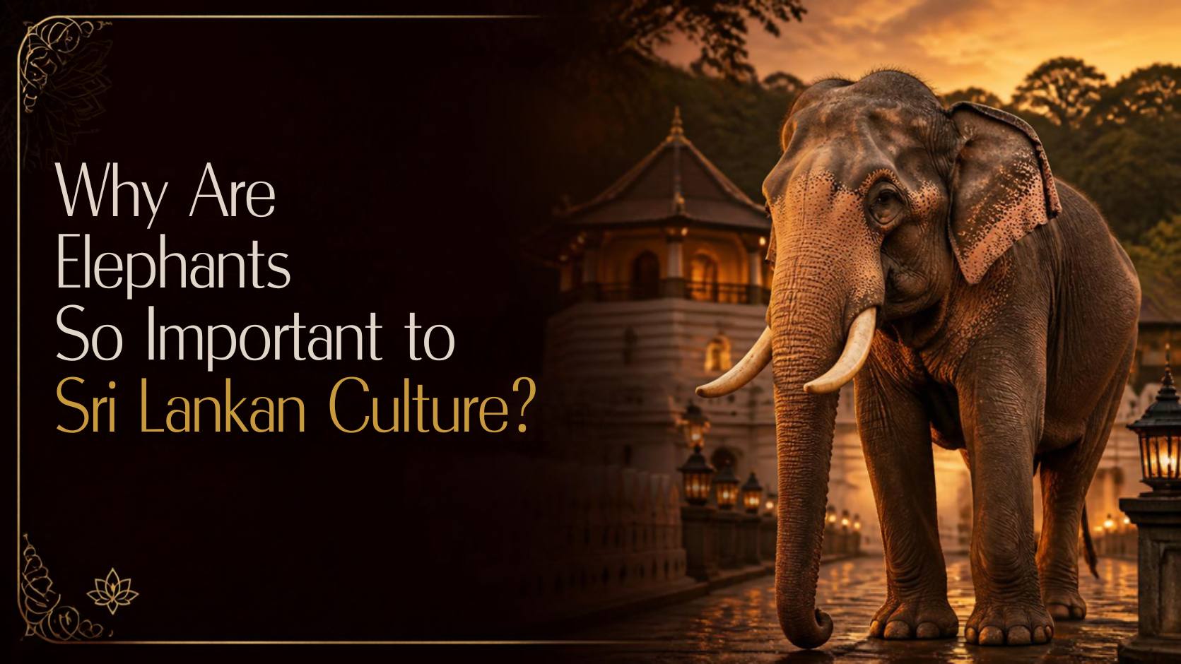 Why Are Elephants So Important to Sri Lankan Culture?