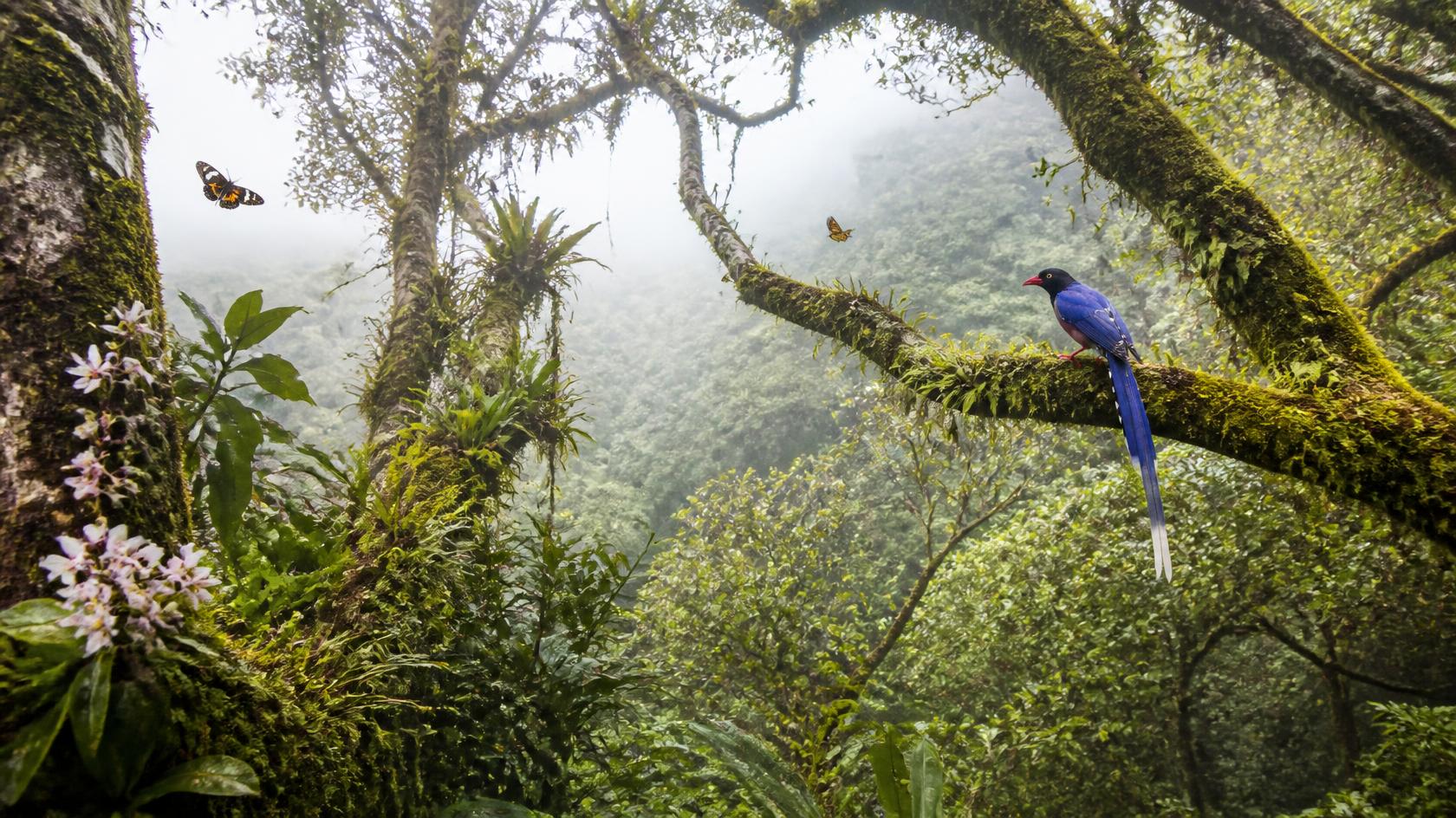 Knuckles Mountain Range: A Hidden Natural Treasure of Sri Lanka - Gallery 3