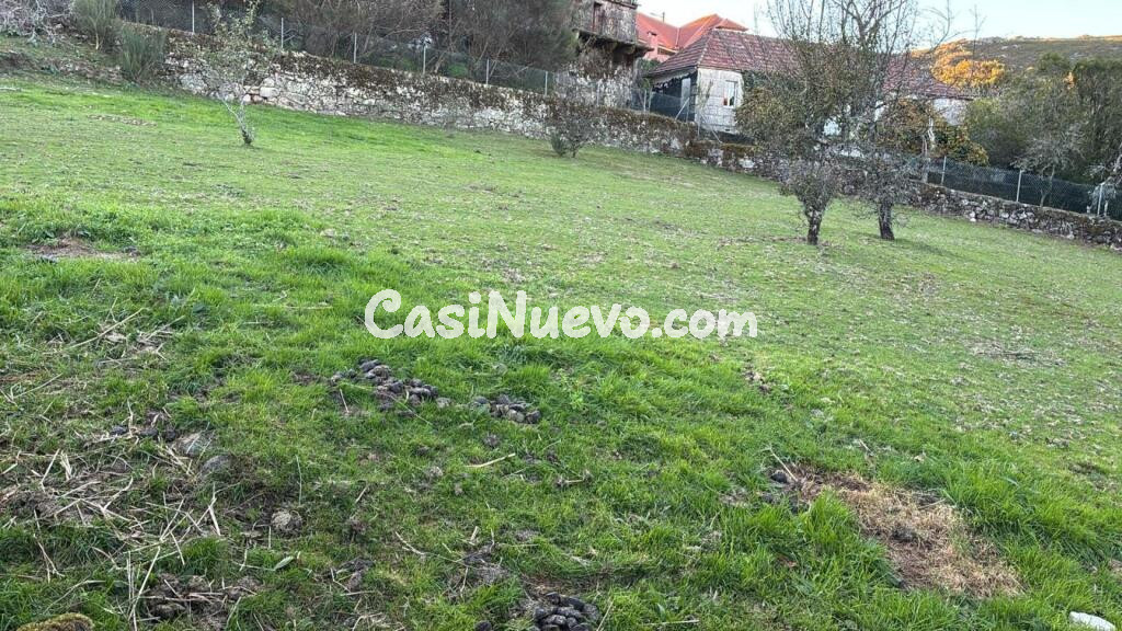 PARCELA EDIFICABLE EN A LAMA