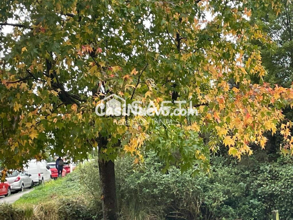 Oportunidad en la Avenida de Vigo – Pontevedra